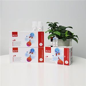 重組人SLC2A1蛋白, His Tag (Detergent)