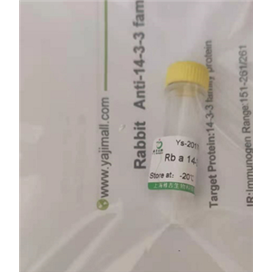 酪氨酸蛋白激酶受體A10抗體,Rabbit Anti-EPHA10  antibody