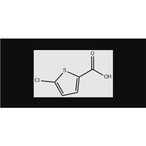 5-氯噻吩-2-甲酸