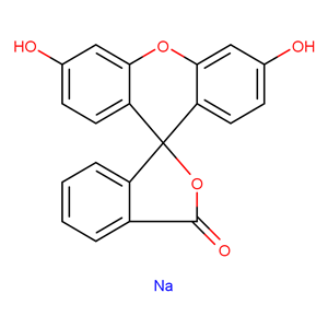 荧光素钠,Fluorescein disodium