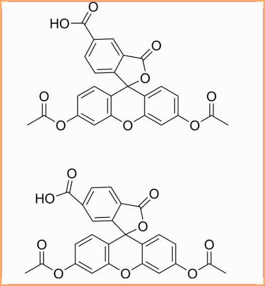 5(6)-羧基熒光素二乙酸酯,5(6)-Carboxyfluorescein diacetate