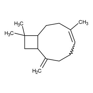 SOD(超氧化物歧化酶)