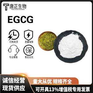 (-)-表没食子儿茶素没食子酸酯 EGCG90%绿茶提取物表没食子素没食子酸酯989-51-5