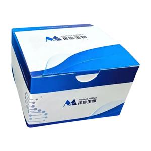 T7 高产率 RNA 共转录试剂盒  (N1-Me-pUTP),T7 Co-Transcription RNA Kit (N1-Me-pUTP)