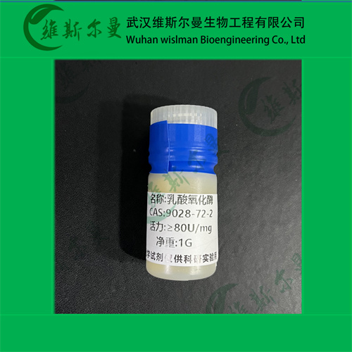 乳酸氧化酶,Lactate oxidase