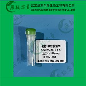 甲醛脫氫酶,Formaldehyde dehydrogenase