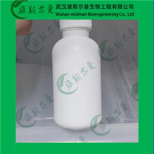 甲醛脫氫酶,Formaldehyde dehydrogenase