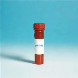MitoTracker Deep Red FM 深紅色線粒體熒光探針，配置方法