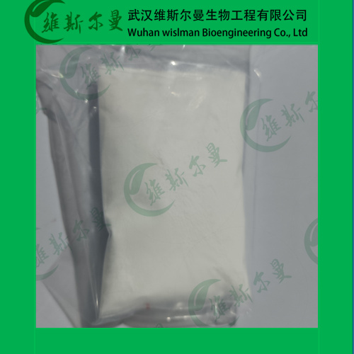 洛沙坦,Losartan