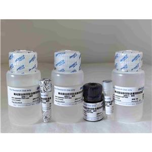 氧化型谷胱甘肽检测试剂盒（GSSG）（分光光度法50T/48S）,Oxidized glutathione test kit (GSSG) (Spectrophotometric 50T/48S)