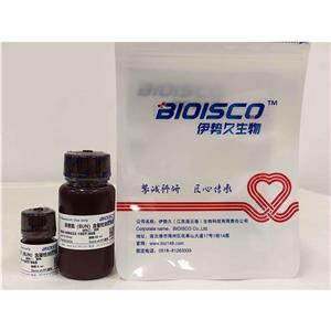 尿素氮（BUN）檢測(cè)試劑盒(微量法100T/96S)