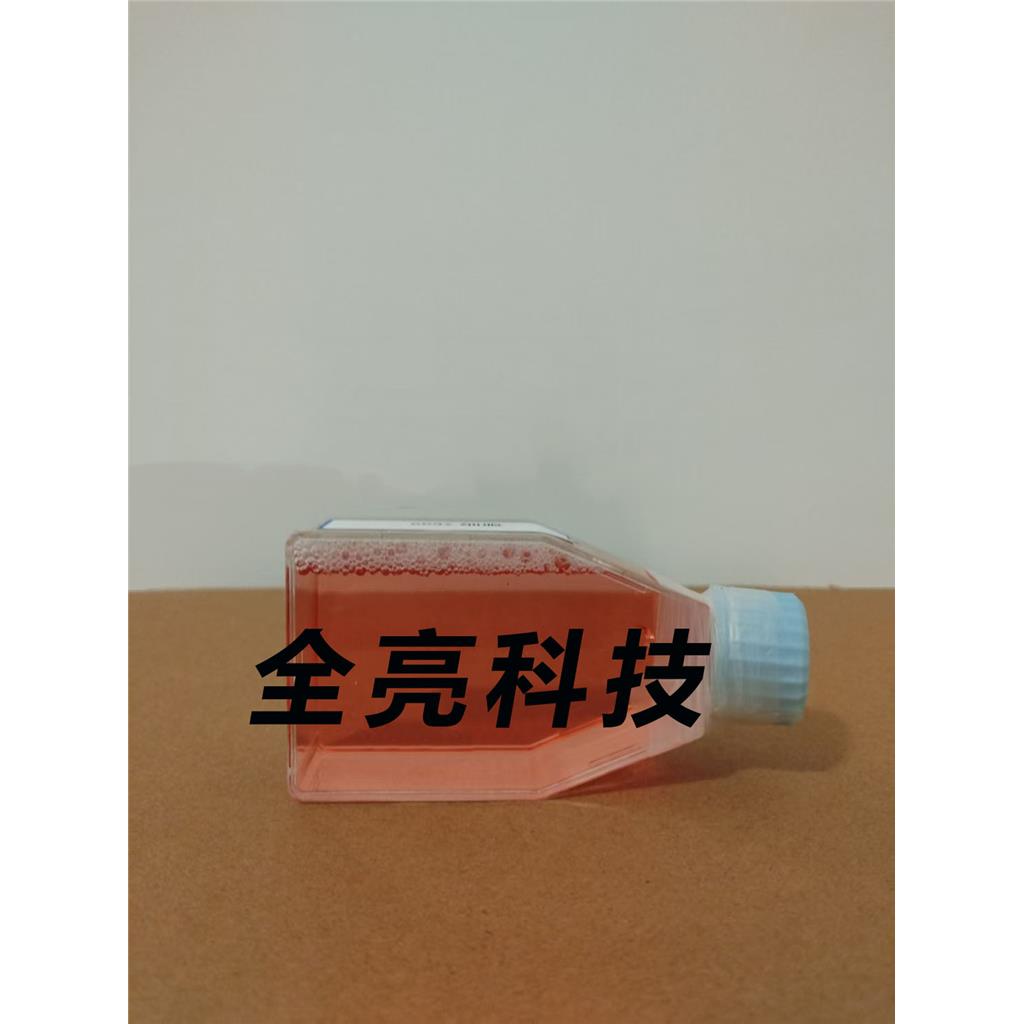 CCRF-CEM Cells人急性淋巴細(xì)胞白血病細(xì)胞|送STR圖譜,CCRF-CEM Cells
