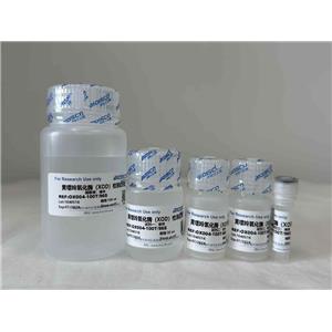 黃嘌呤氧化酶（XOD）檢測試劑盒（微量法 50T/48S）,Xanthine Oxidase (XOD) Test Kit (Micro Method 50T/48S)