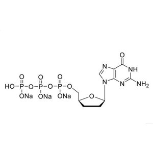 ddGTP,10mM Solution