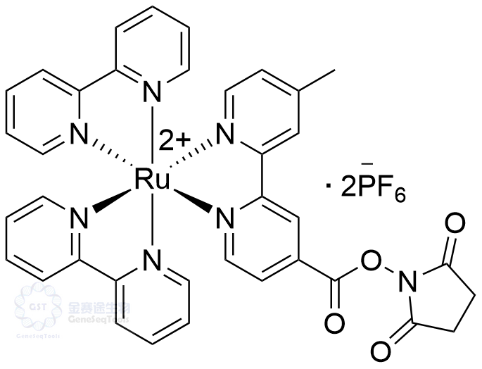 Ru(bpy)2(mcbpy-O-Su-ester)(PF6)2,Bis(2,2'-bipyridine)-4'-methyl-4-carboxybipyridine-ruthenium N-succinimidyl ester bis(hexafluorophosphate)