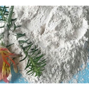 (R)-3-氨基-Y-丁內(nèi)酯鹽酸鹽,(R)-3-Amino-g-butyrolactone hydrochloride