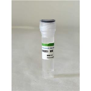 BCA法蛋白質含量測定試劑盒（分光光度法 50T/48S）,BCA Method Protein Content Determination Kit (Spectrophotometric 50T/48S)