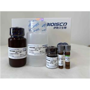 土壤堿性磷酸酶（S-AKP/ALP）檢測(cè)試劑盒（微量法 100T/96S）