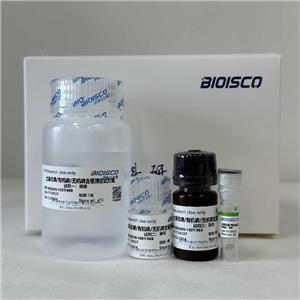 土壤总磷、有机磷和无机磷检测试剂盒（微量法 100T/96S）,Soil Total, Organic and Inorganic Phosphorus Test Kit (Trace Method 100T/96S)