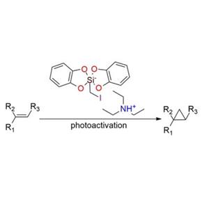 雙（鄰苯二酚）碘甲基硅酸三乙基銨,Triethylammonium bis(catecholato)iodomethylsilicate