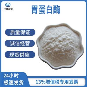 胃蛋白酶,Pepsin