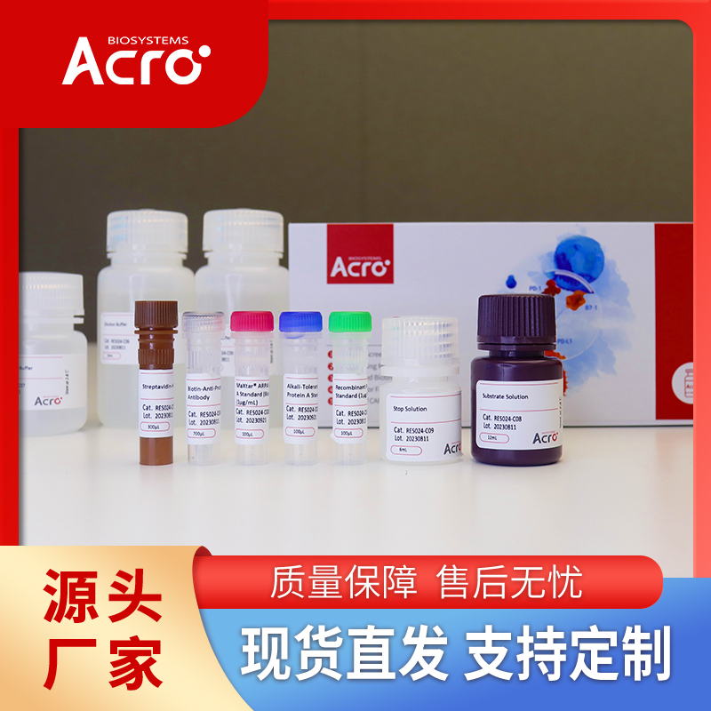 PSMA蛋白,PSMA