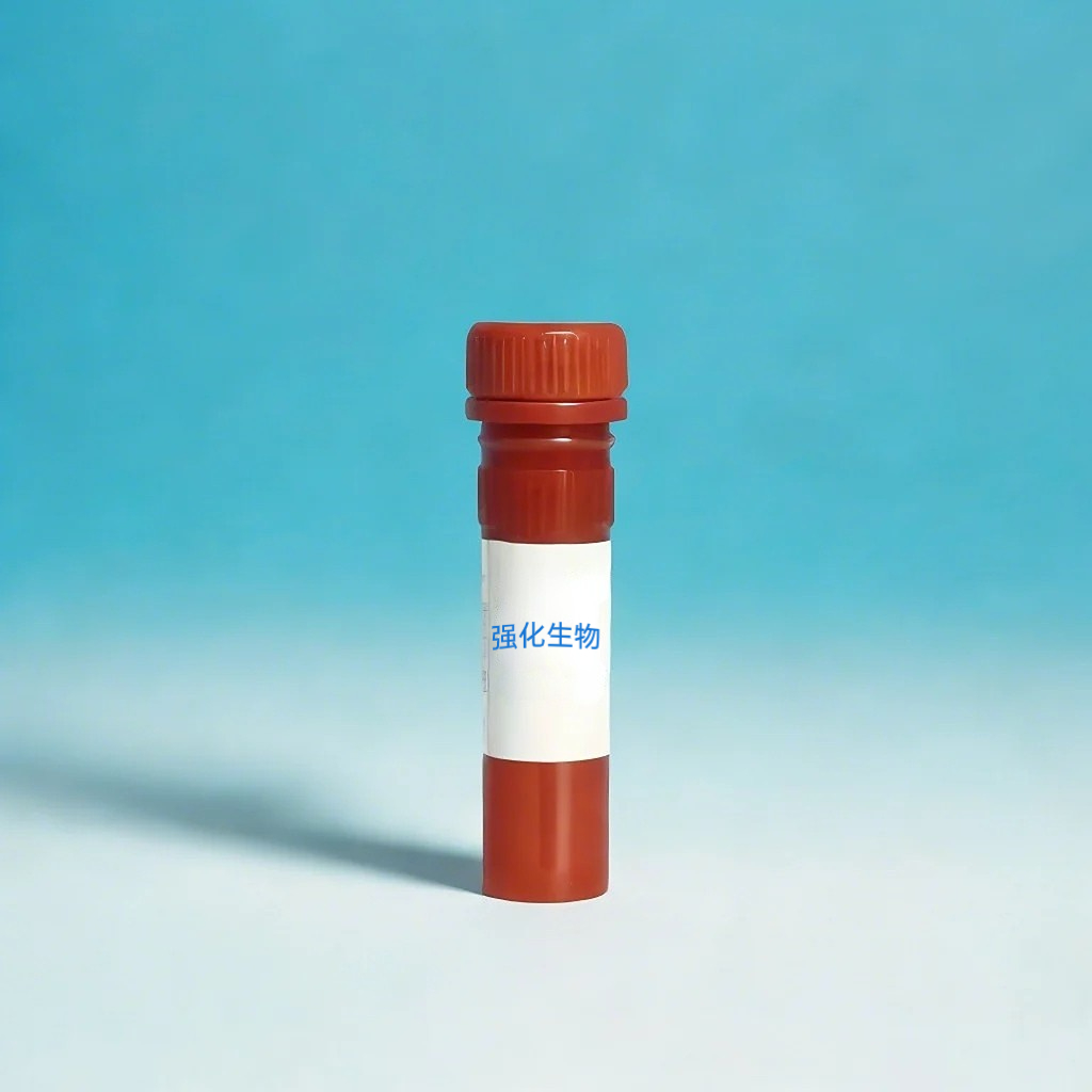 Fluo-5N五鉀鹽,Fluo-5N Pentapotassium Salt,Cell lmpermeant