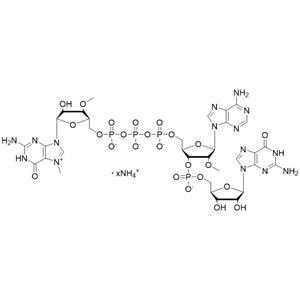 3'OMe-GAG Ammonium Salt Solution (100 mM)