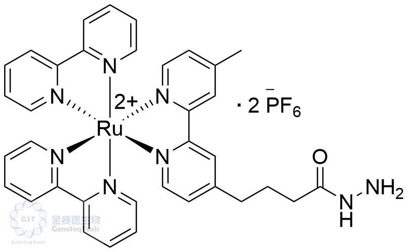 Tris(2,2'-bipyridyl) ruthenium hydrazide,Bis(2,2'-bipyridine)-[4-(4'-methyl-2,2'-bipyridin-4-yl)butyrohydrazide] ruthenium bis(hexafluorophosphate)