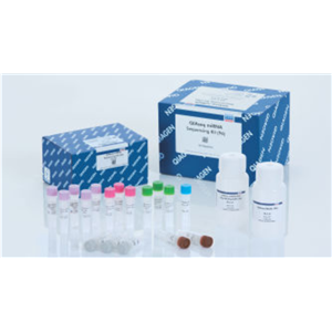 QIAamp 96 DNA QIAcube HT 套裝（5）