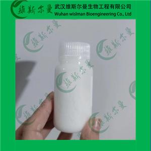 神經氨酸酶,Neuraminidase