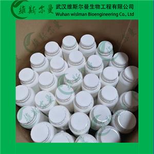 神經氨酸酶,Neuraminidase