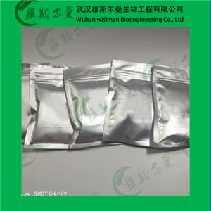 神經氨酸酶,Neuraminidase