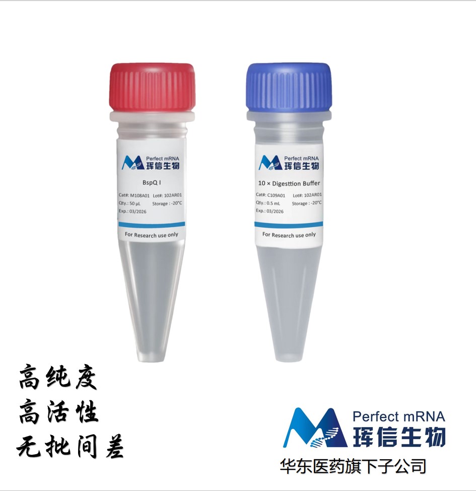 BspQ I限制性內(nèi)切酶,BspQ I