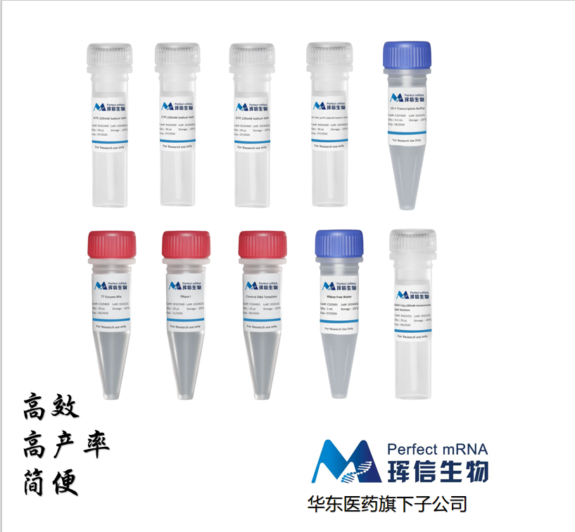 T7 高产率 RNA 共转录试剂盒  (N1-Me-pUTP),T7 Co-Transcription RNA Kit (N1-Me-pUTP)