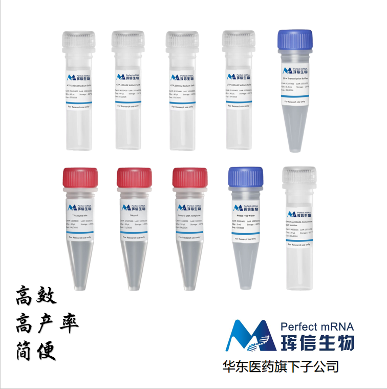 T7 高产率 RNA共转录试剂盒(GAU),T7 Co-Transcrption RNA Kit(GAU)