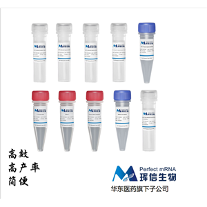 T7 高产率 RNA 共转录试剂盒  (N1-Me-pUTP)
