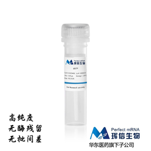 dUTP 100mM Sodium Solution 