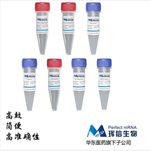 牛痘病毒加帽試劑盒Vaccinia Capping System