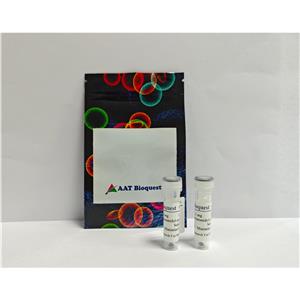 鏈霉親和素偶聯(lián)物 iFluor 350-標記,iFluor? 350-streptavidin conjugate
