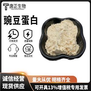 豌豆蛋白 食品級營養(yǎng)強(qiáng)化劑222400-29-5