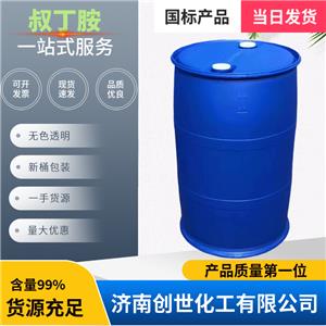 叔丁胺75-64-9