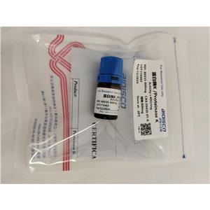 蛋白酶K,proteinase K