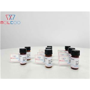 多替諾德雜質(zhì)56,Dotinurad Impurity 56