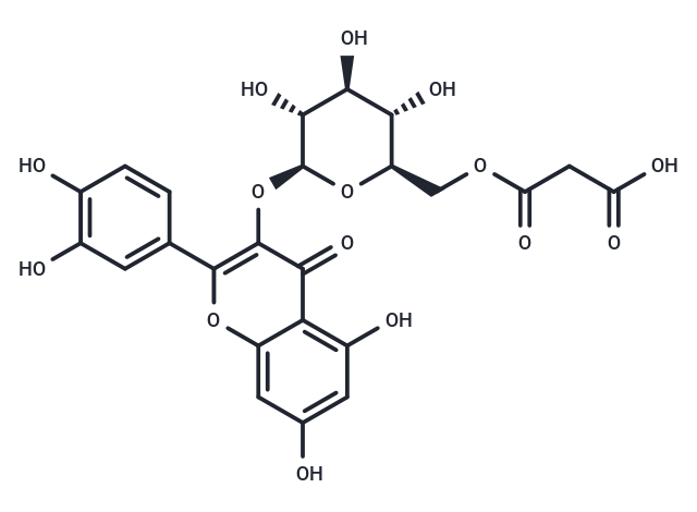 槲皮素3-O-(6"-O)-D-吡喃葡萄糖苷,Quercetin 3-O-malonylglucoside