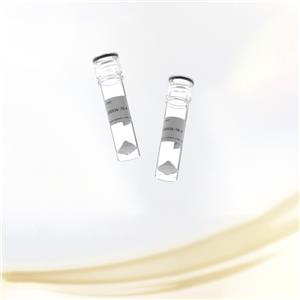 [甘氨酸14]-HN、GLY14-護(hù)腦素(人體),(GLY14)-HUMANIN (HUMAN)