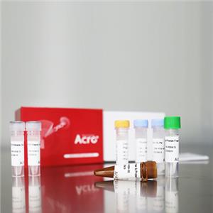 TROP-2 / TACSTD2蛋白, His,Avitag