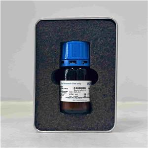 牛血清白蛋白BSA,Bovine Serum Albumin