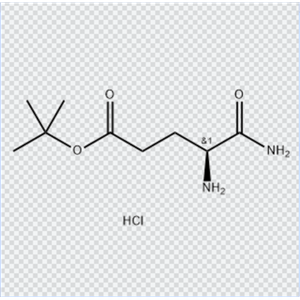 (S)-4,5-二氨基-5-氧代戊酸叔丁酯单盐酸盐 108607-02-9