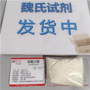 諾氟沙星,norfloxacin